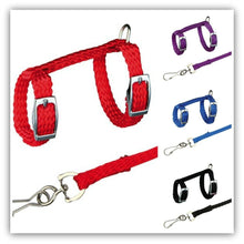 Load image into Gallery viewer, 4 Colors Adjustable Nylon Harness Collar Set with Lead Leash for Small Animal Ferret Rat Hamster Rabbit Bunny Squirrel Guinea
