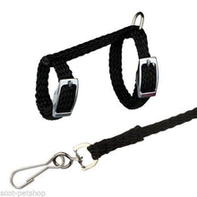 Load image into Gallery viewer, 4 Colors Adjustable Nylon Harness Collar Set with Lead Leash for Small Animal Ferret Rat Hamster Rabbit Bunny Squirrel Guinea
