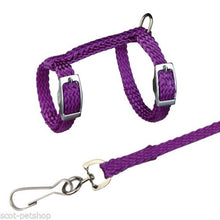 Load image into Gallery viewer, 4 Colors Adjustable Nylon Harness Collar Set with Lead Leash for Small Animal Ferret Rat Hamster Rabbit Bunny Squirrel Guinea
