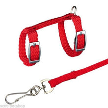 Load image into Gallery viewer, 4 Colors Adjustable Nylon Harness Collar Set with Lead Leash for Small Animal Ferret Rat Hamster Rabbit Bunny Squirrel Guinea
